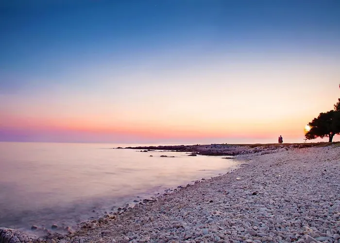 Biba דירה פורץ